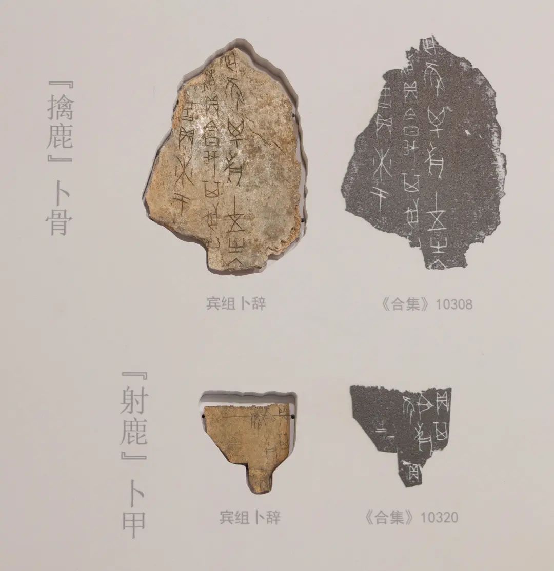 古人驰骋猎场全靠张弓射箭吗？来看看商朝的田猎之方