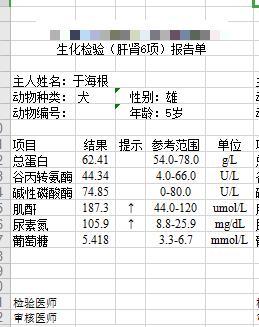 狗狗前列腺肿大保守治疗如何用药,狗狗前列腺肿大怎么治