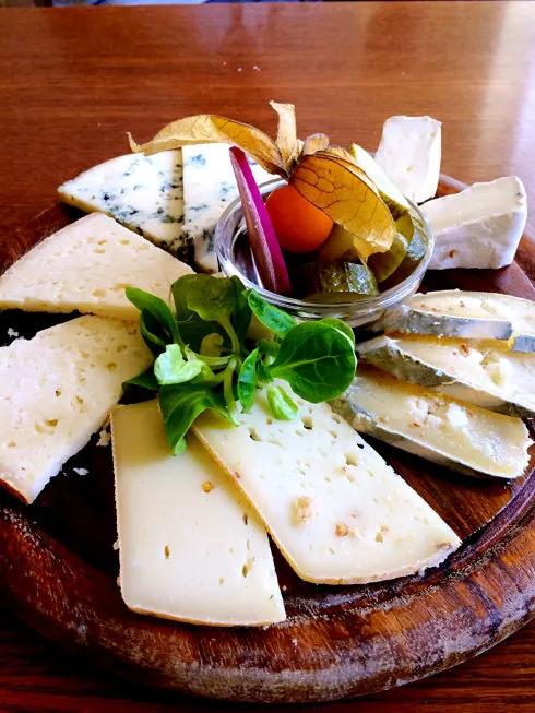 东德人民军真实水平,东德人民军各兵种