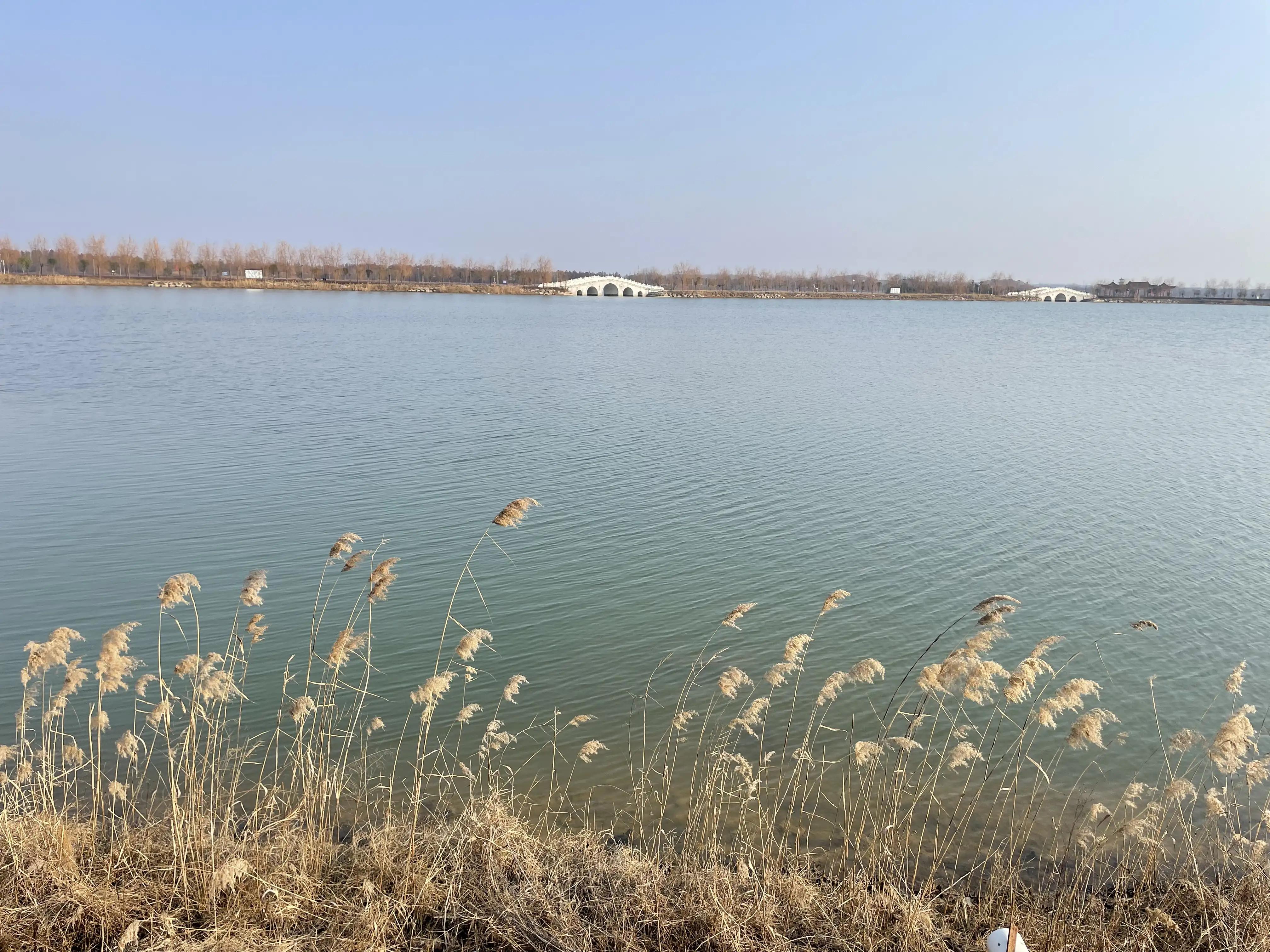 我所经历过的国企改制和职工下岗,2006年国企改制下岗职工