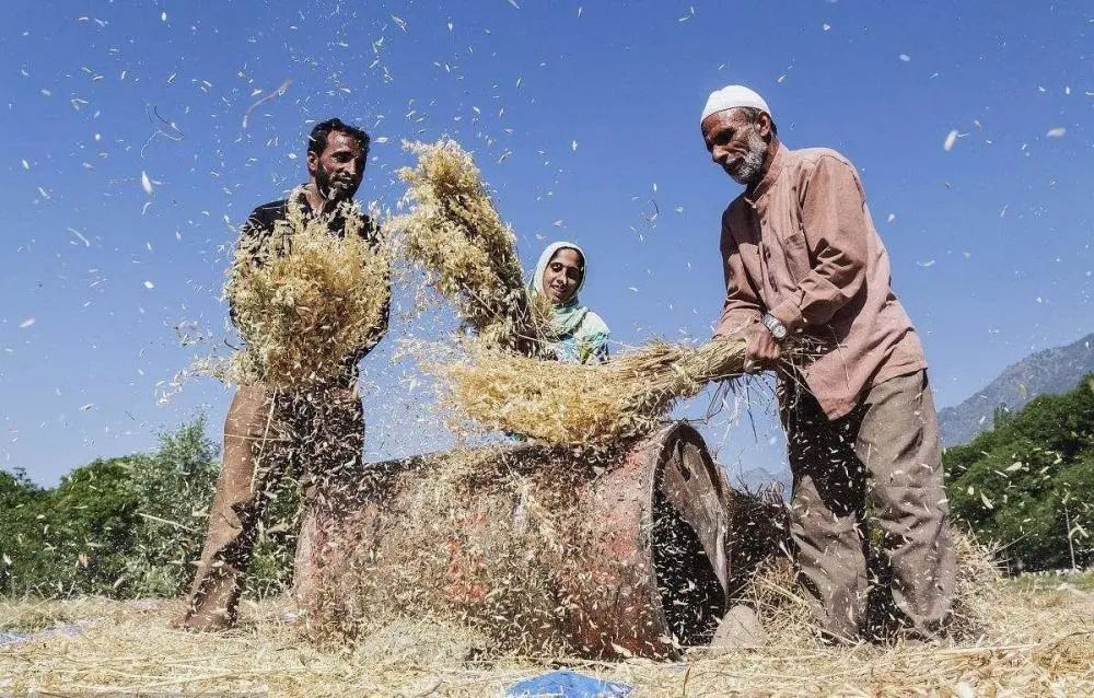 印度的困境与莫迪的无奈,印度现实中的莫迪