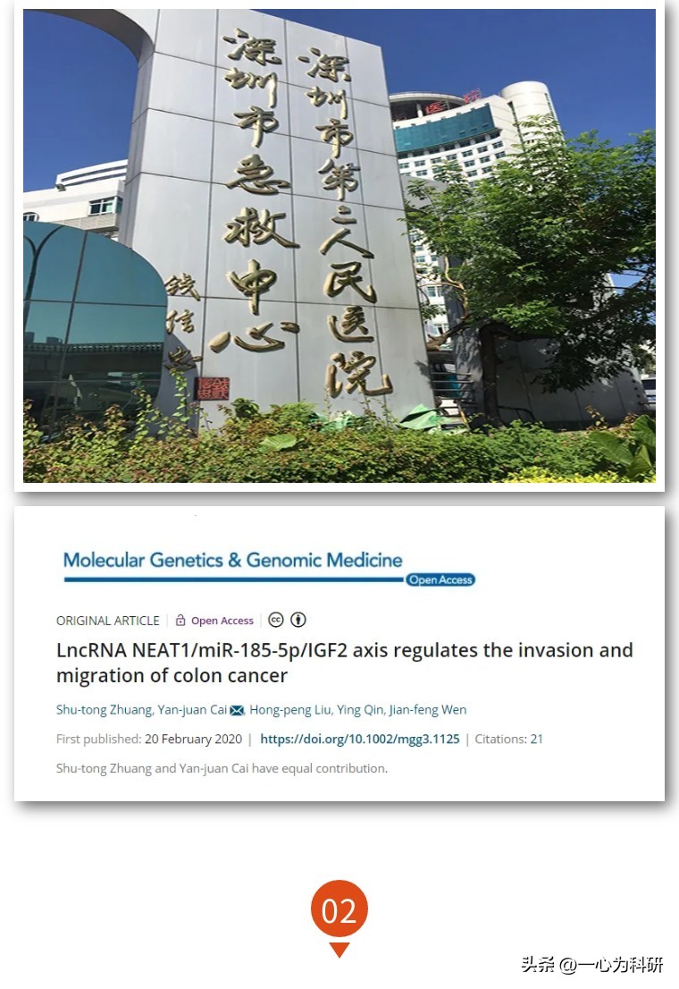 与他人作品内容相似,与他人论文雷同