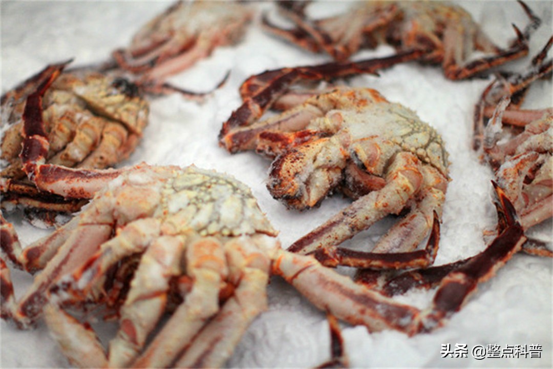 活螃蟹直接煮会痛苦吗,煮螃蟹是不是太残忍了