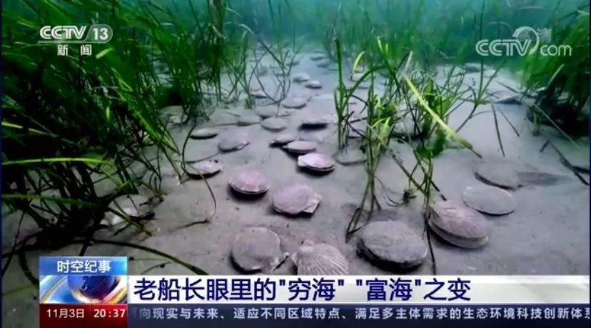 央视东方时空纪录片,央视新闻纪录片东方时空