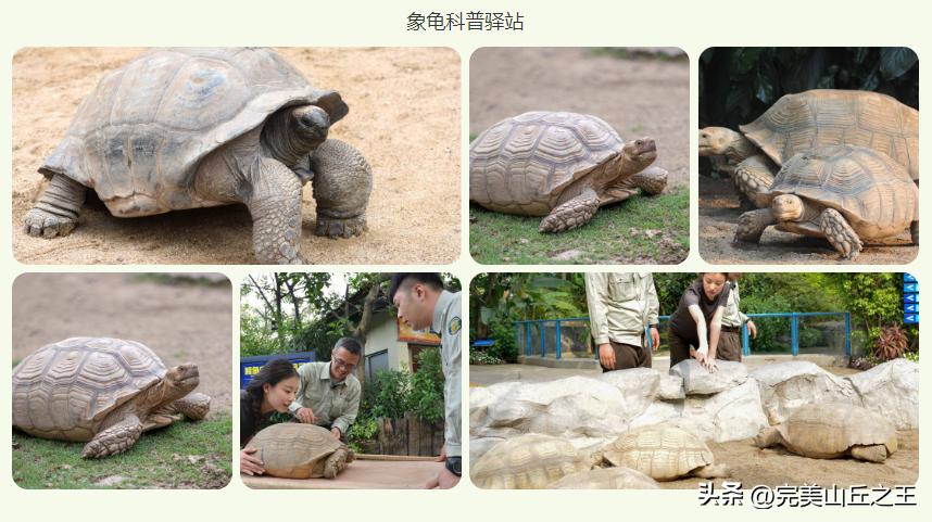 广州5a景区正佳广场,广州5a景点排名大全