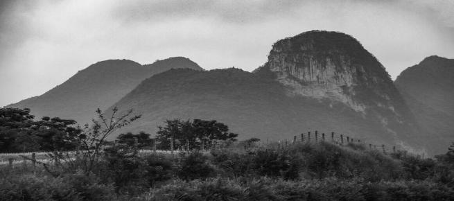 13岁孤儿独自生活,孤儿韦仁龙707分考上北大