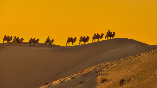 开悟的必行之路,如何从开悟到大彻大悟