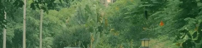 自媒体写作怎么赚到钱,写作自媒体平台