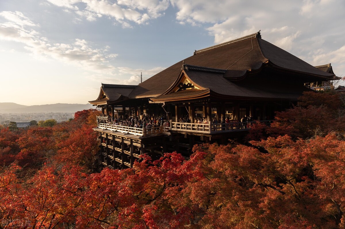 你善于适度认怂，有时候能避免*麻大**烦，职场之路走得更顺