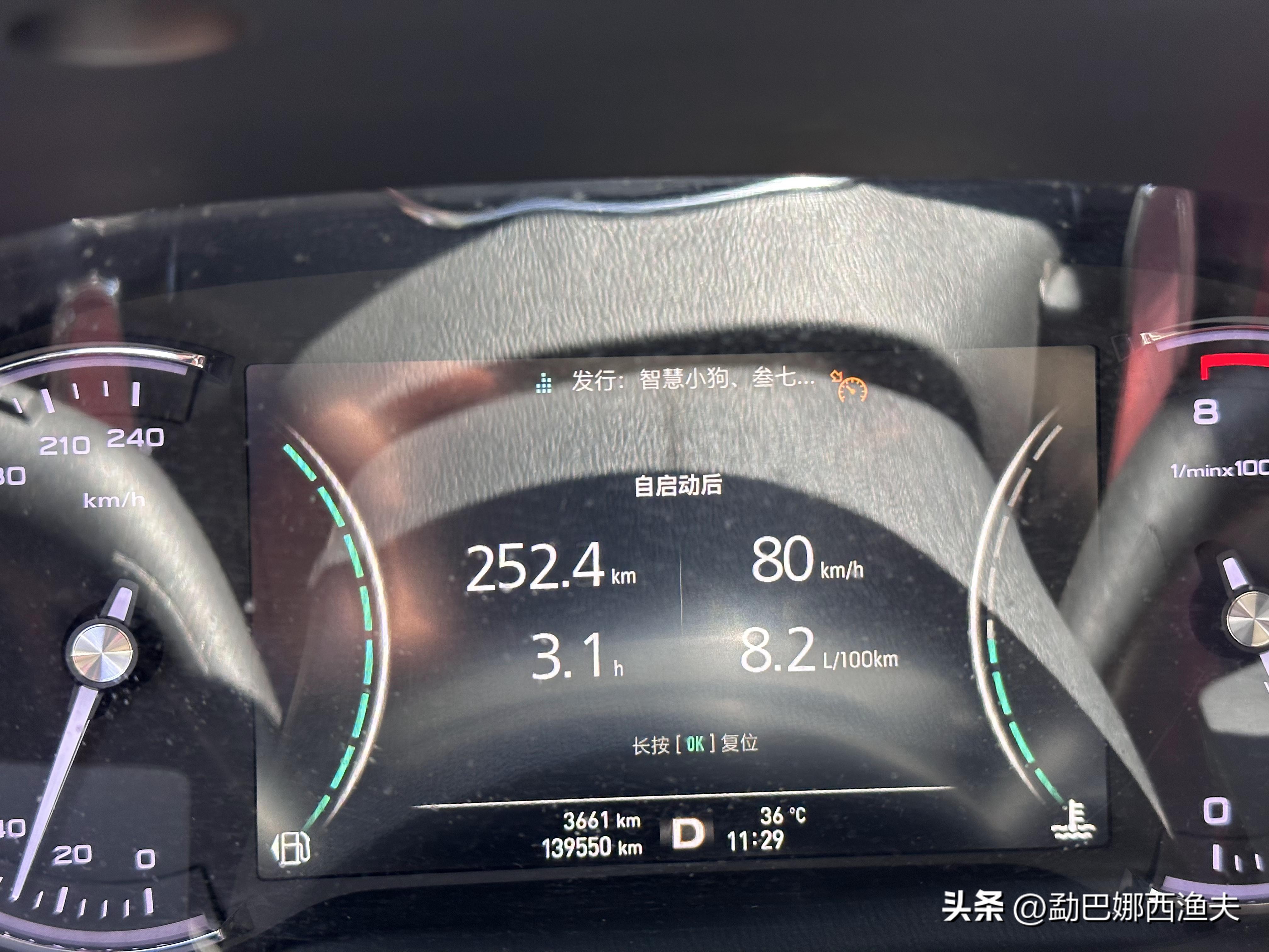 2020万峰湖野钓大罗非,万峰湖陇纳村野钓大罗非