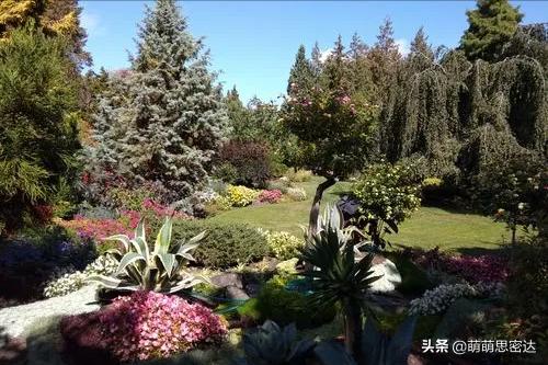 温哥华的富人区,温哥华华人富人区