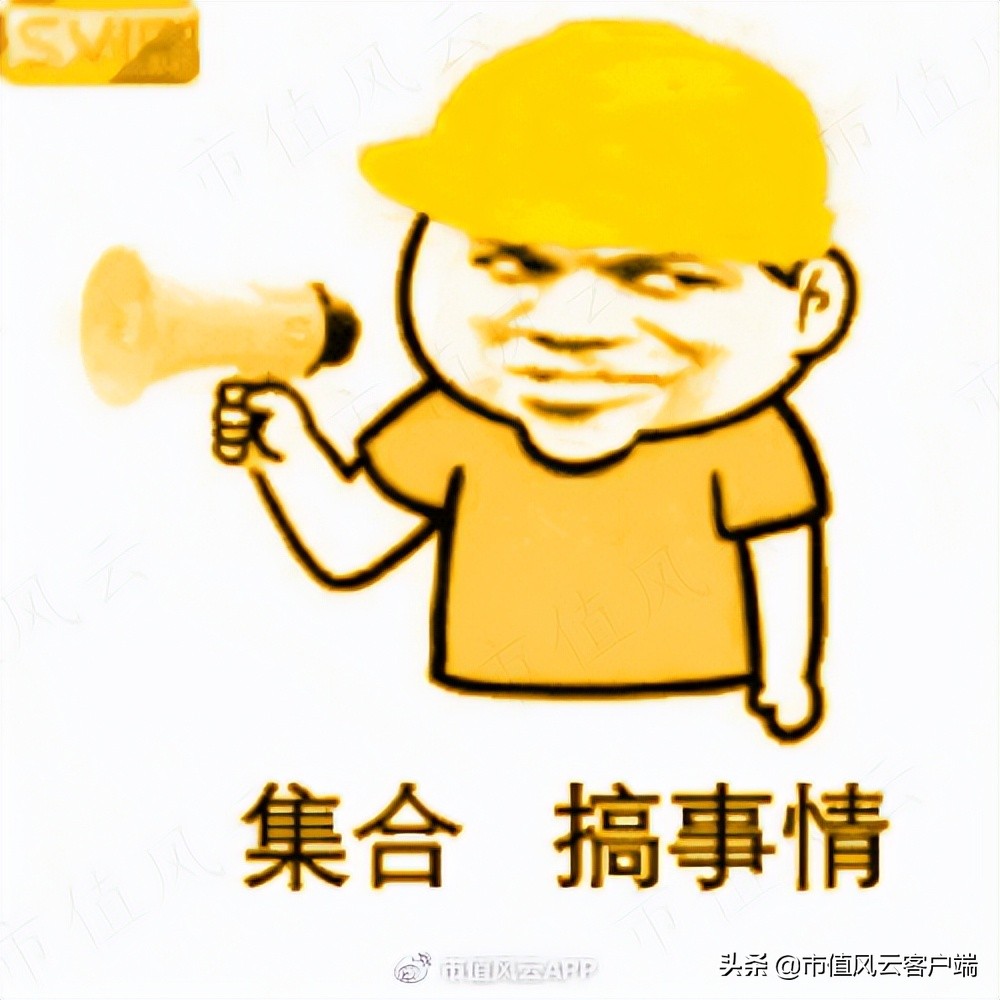 泽达易盛证监会立案公告,泽达易盛信息披露全过程