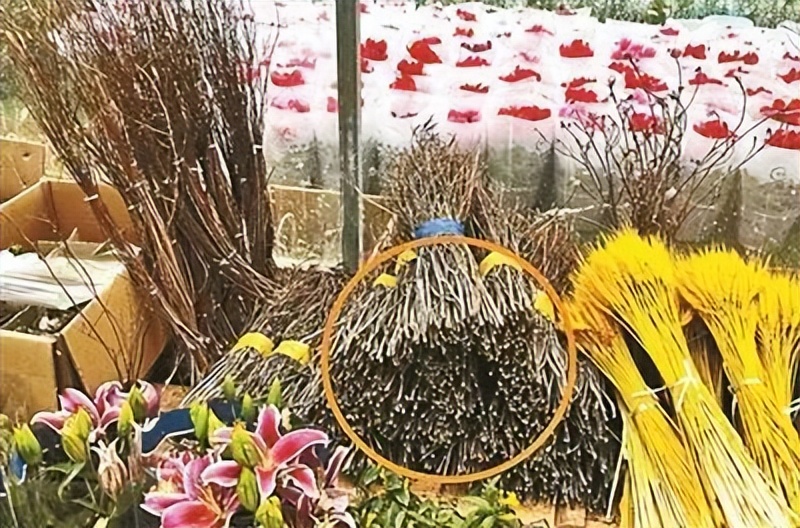 春节不应该买的食物,春节期间这些东西不要买