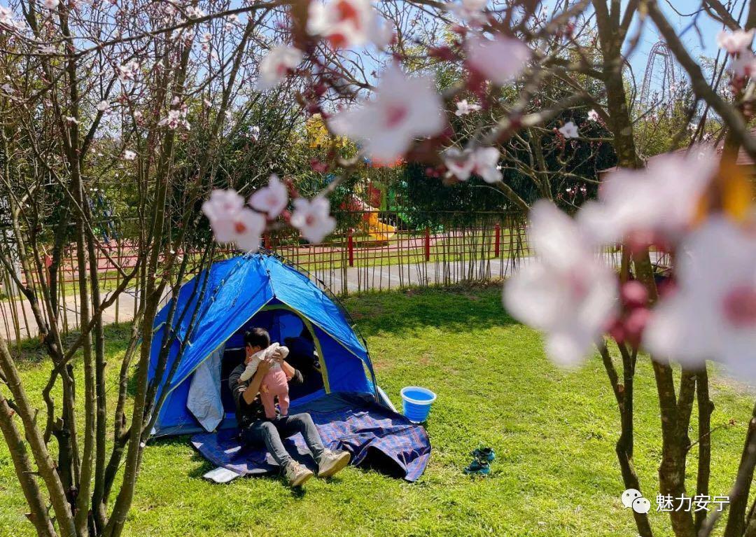 向往的生活安静淳朴无纷扰,向往的生活之世外桃源