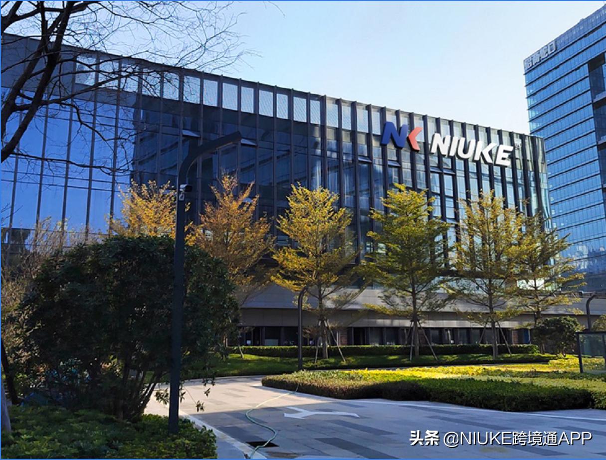 payoneer派安盈可以跟客人收款吗,payoneer派安盈需要下载app吗