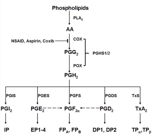 海藻糖代谢,海藻糖对植物抗逆性的作用