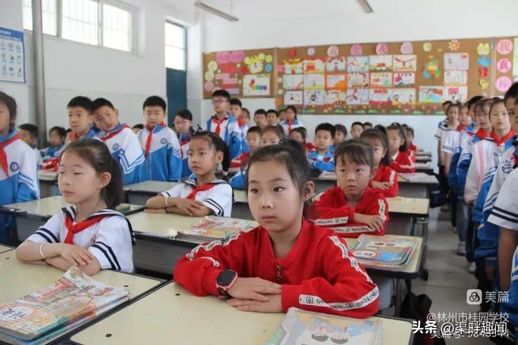 聚焦德育活动促学生全面发展,聚焦入学助力儿童成长公开课