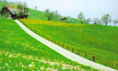 十首田园诗词最美的田园生活,关于田园的古诗词30首