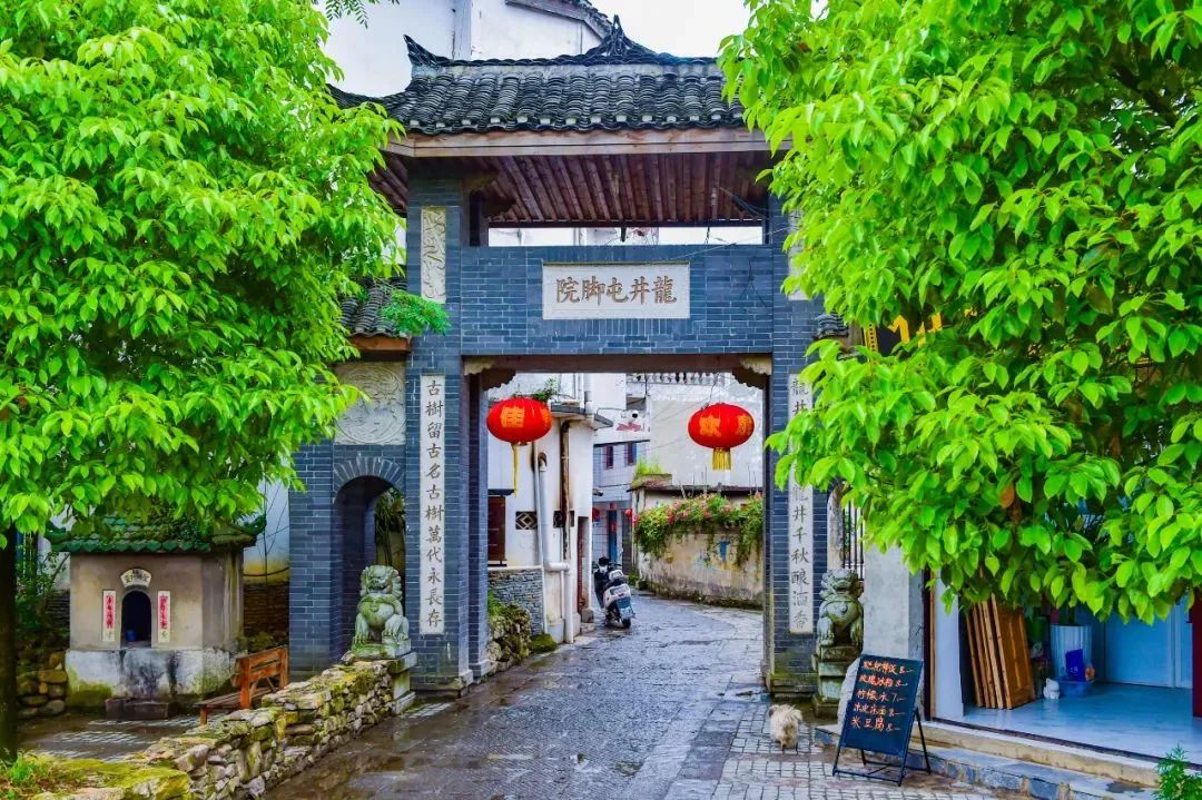 清明哪里适合踏青旅游,清明踏青好去处赏景玩乐两不误