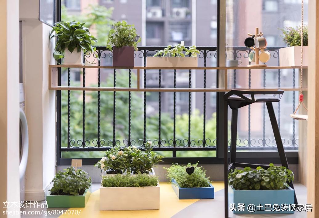 阳台应该种什么植物,阳台应该怎么装修
