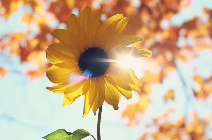 穷人要记住这三点才不会穷,穷人如果想发财必须要做这几件事