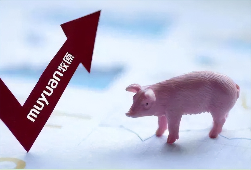 农业产业周报|老乡鸡、洪九果品、双汇发展、荃银高科最新动态