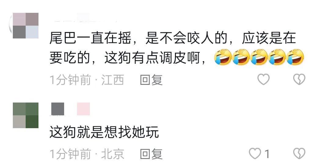 这哪里是大狗想找吃的或者想和人玩？这明明就是大狗发情了！