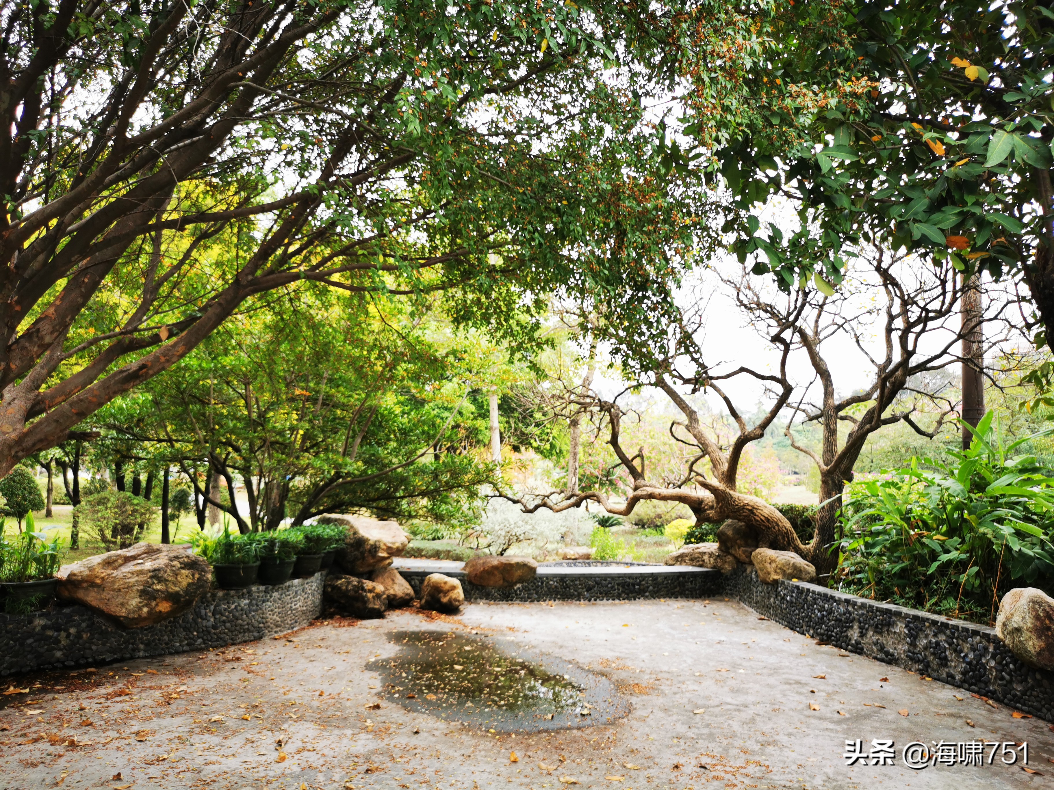 陈田花园全景图,陈田花园照片