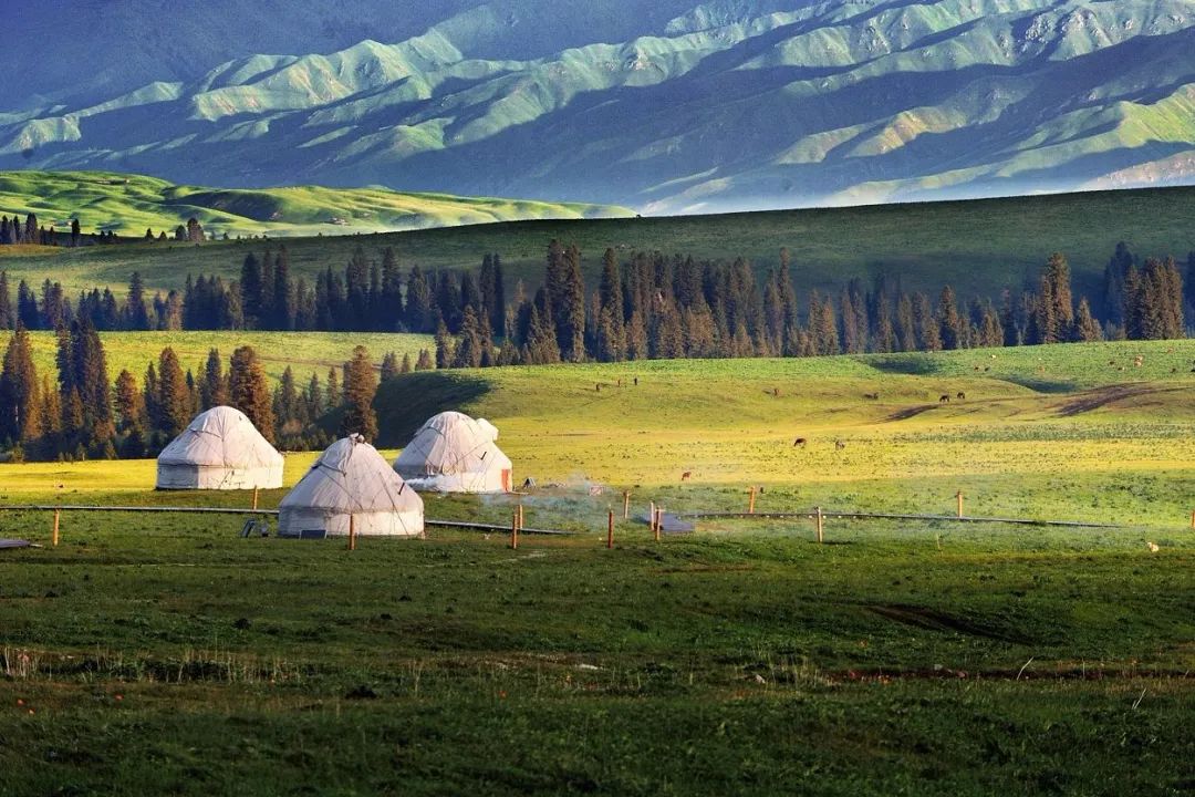 来新疆一定要避开的坑,新疆旅行一定要看的避坑建议