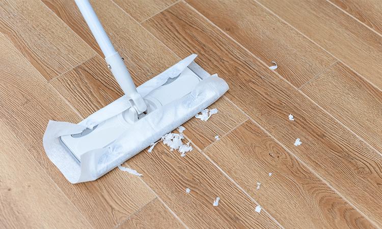 为什么家里毛絮很多如何处理,家中毛絮频频出现