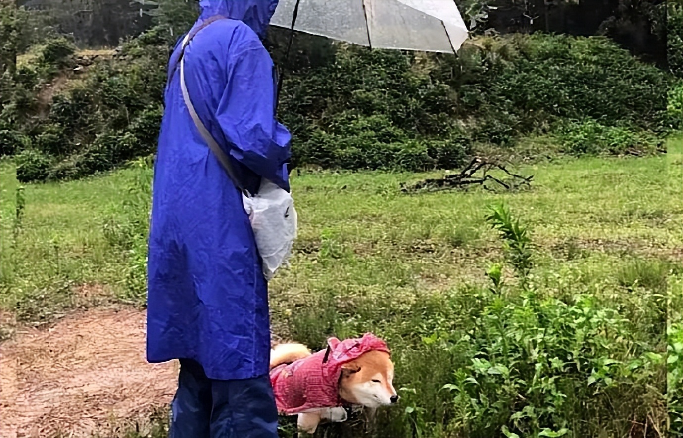 谐音梗搞笑段子全部,谐音梗搞笑的段子