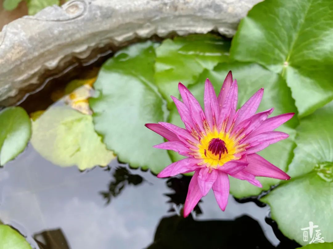 来，见识一下佛门洗浴文化！想不到佛对洗澡这件事如此重视