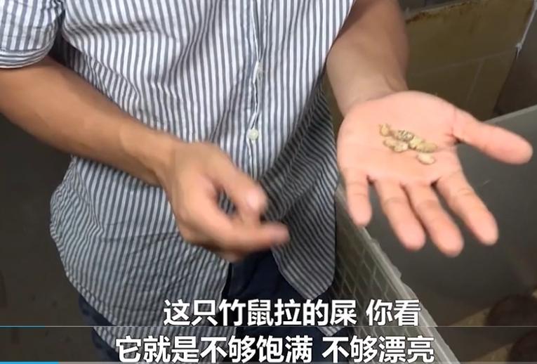 规则怪谈一口气看完系列剧本杀,请遵守以下规则什么梗