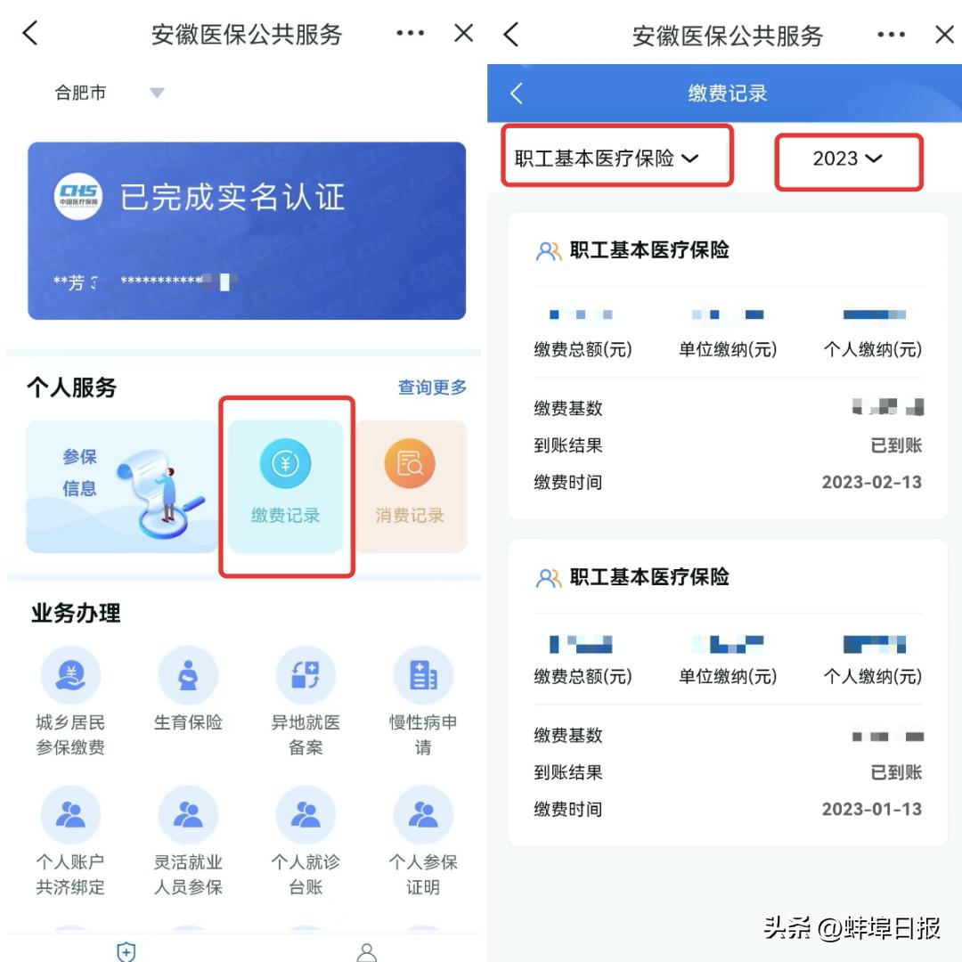 便捷高效查询,官网一键查询