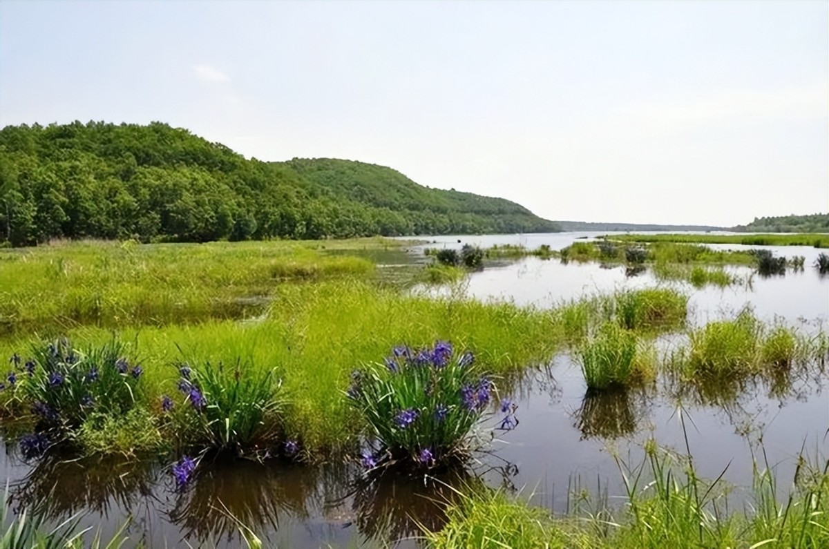 红军长征过草地有什么危险,长征时的草地危机四伏