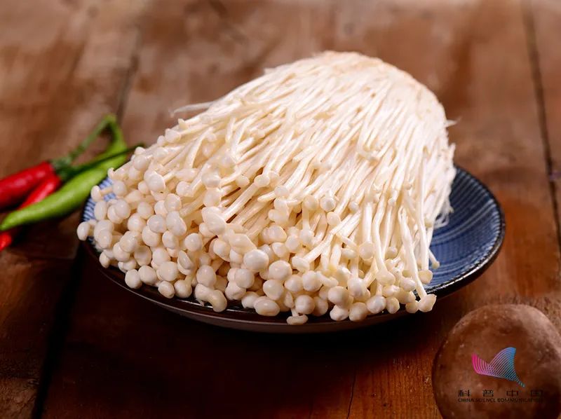 金针菇为什么又叫明天见,金针菇什么时候吃比较好