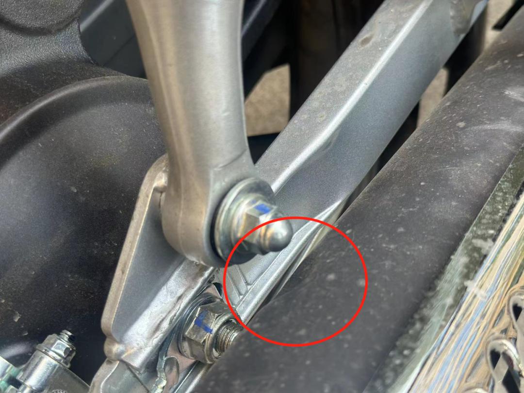 本田幼兽cc110盲盒,本田幼兽110cc