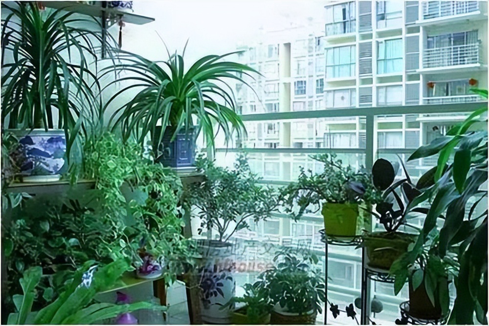 热火更衣室气氛紧张,热火压力山大