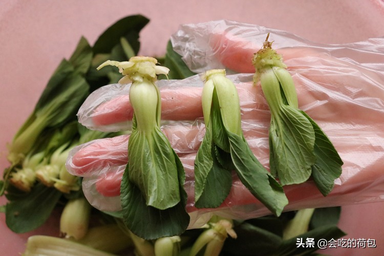 风冷无霜冰箱怎样储存蔬菜,什么蔬菜不能放冰箱储存