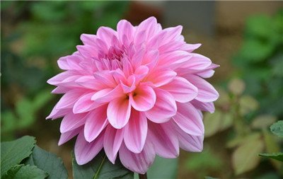 抑郁不开心长斑月经不调失眠多梦还头疼，不如按一按四关穴！