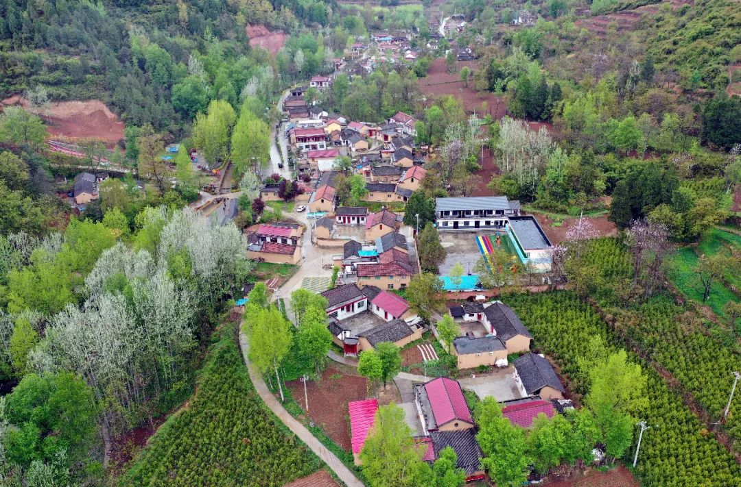 魅力陇南市区,魅力陇南陇上江南