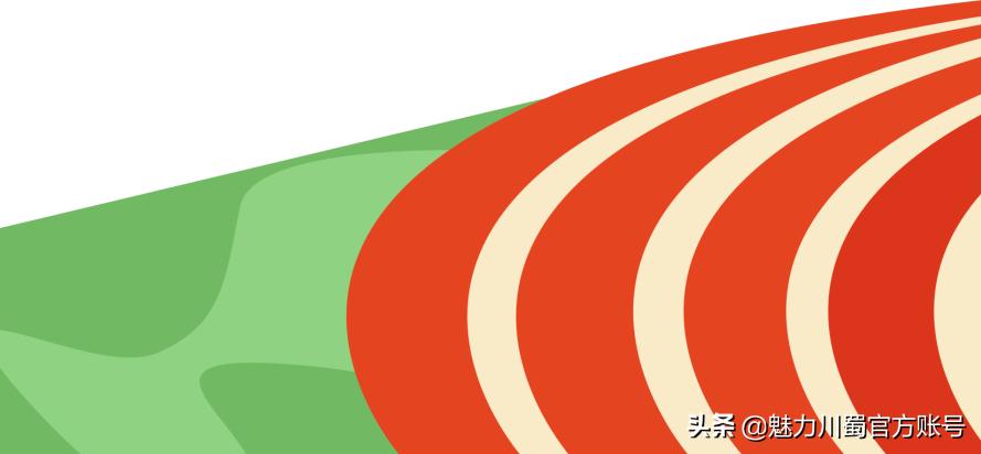 绵阳中学实验学校体训队,绵阳中学实验学校足球队全国水平