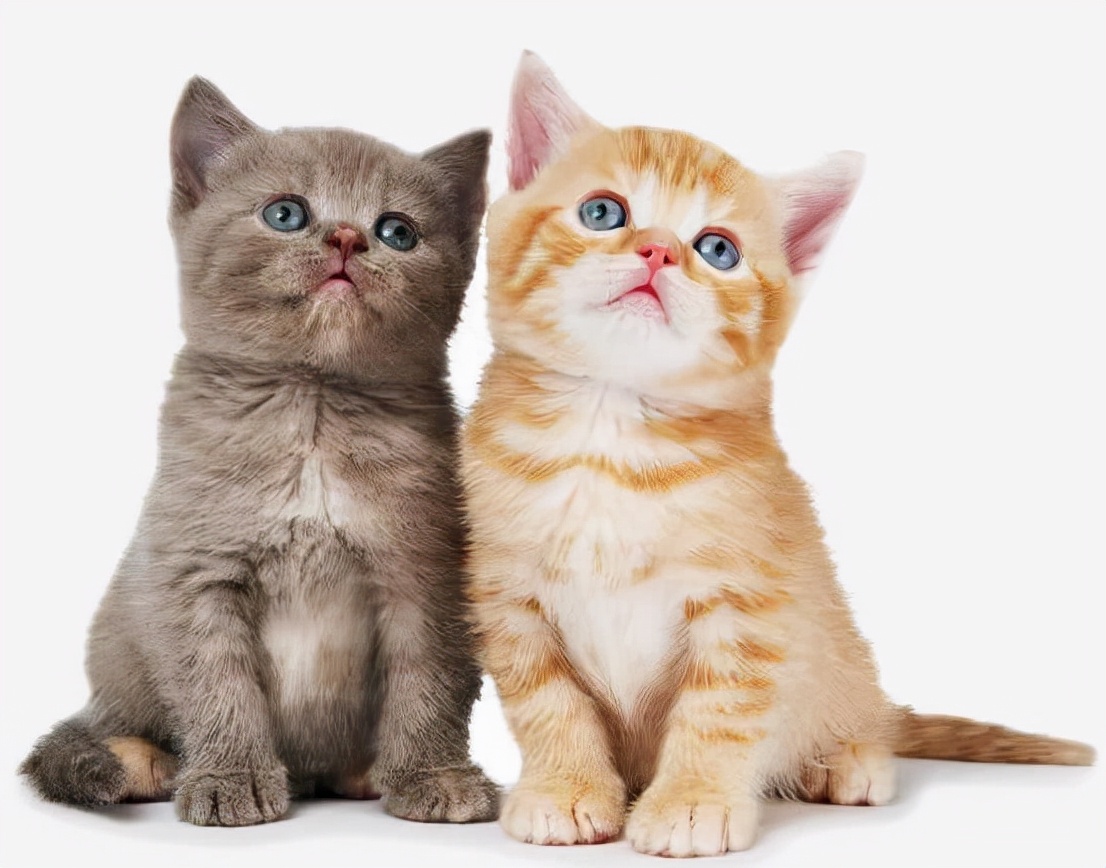 蛋氨酸值,蛋氨酸值50正常吗