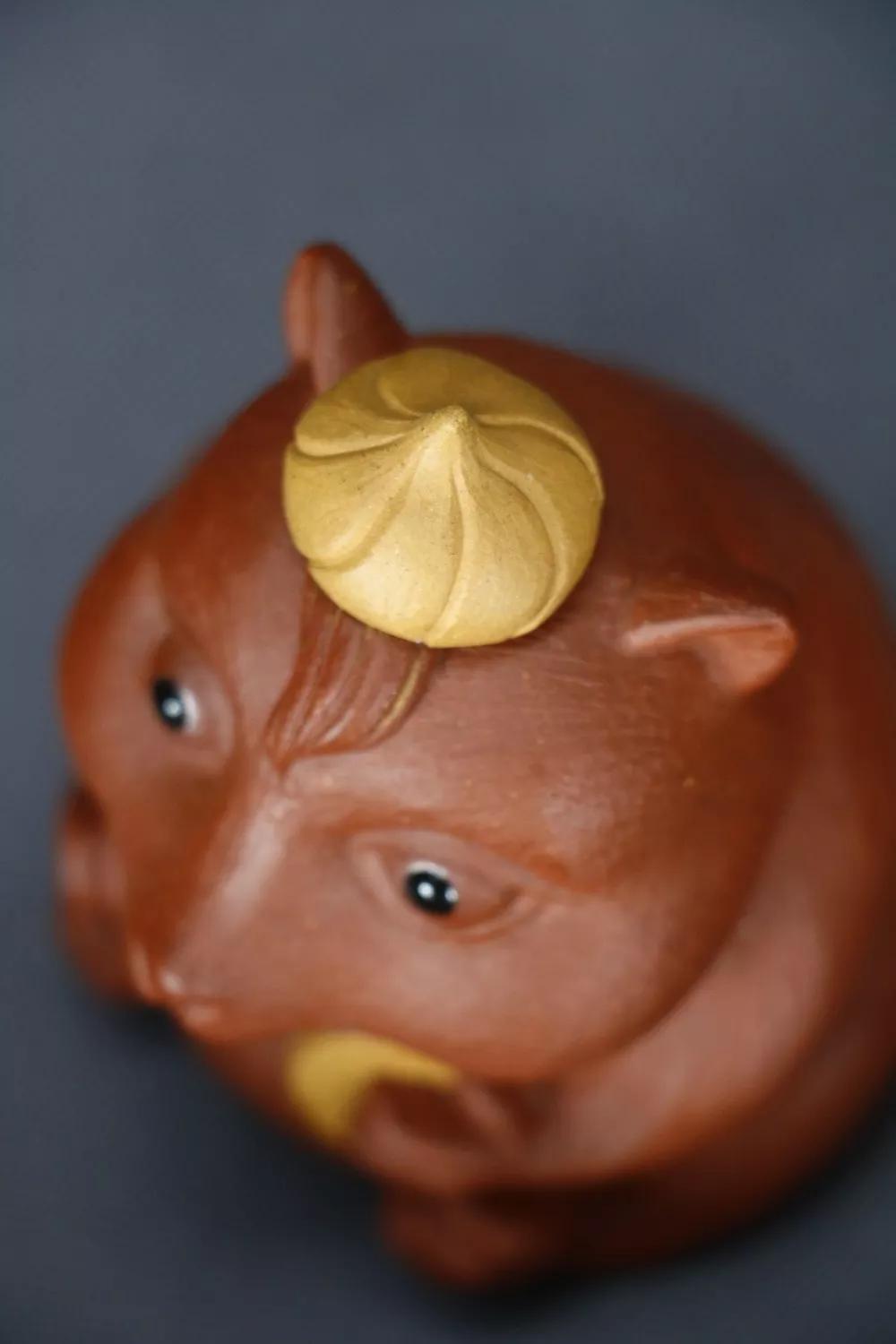 鼠来宝现实版,鼠来宝照片