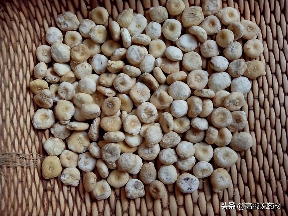 高鹏说药材：市场关注品种牡丹皮、川牛膝、天南星等行情走势简析