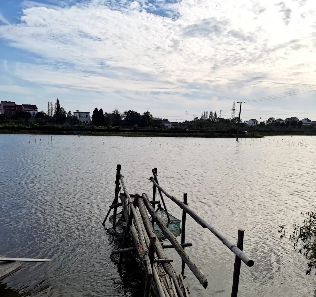 幼蟹的科学养殖与管理全是干货,幼蟹养殖成活率