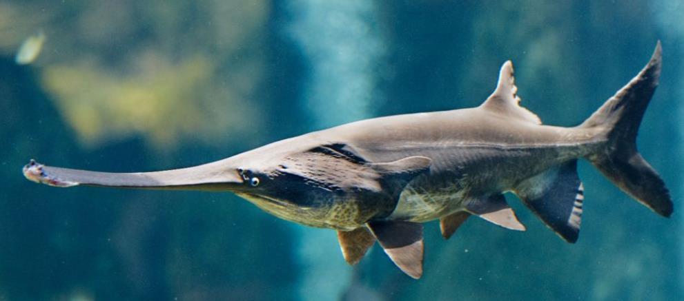 世界上最昂贵的10件物品,关于世界上最贵的十件物品是哪些