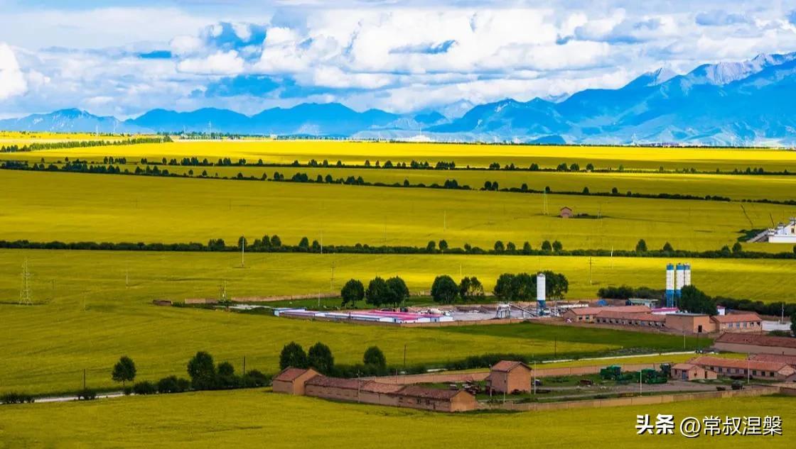 西安至青海湖自驾游攻略,内蒙古到青海湖自驾游攻略