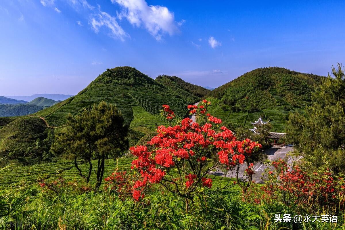 七年级学生英语学习的问题,七年级上学生英语阅读学情分析