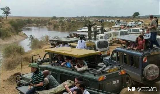 东非大草原动物大迁徙路线,为什么东非野生动物大迁徙